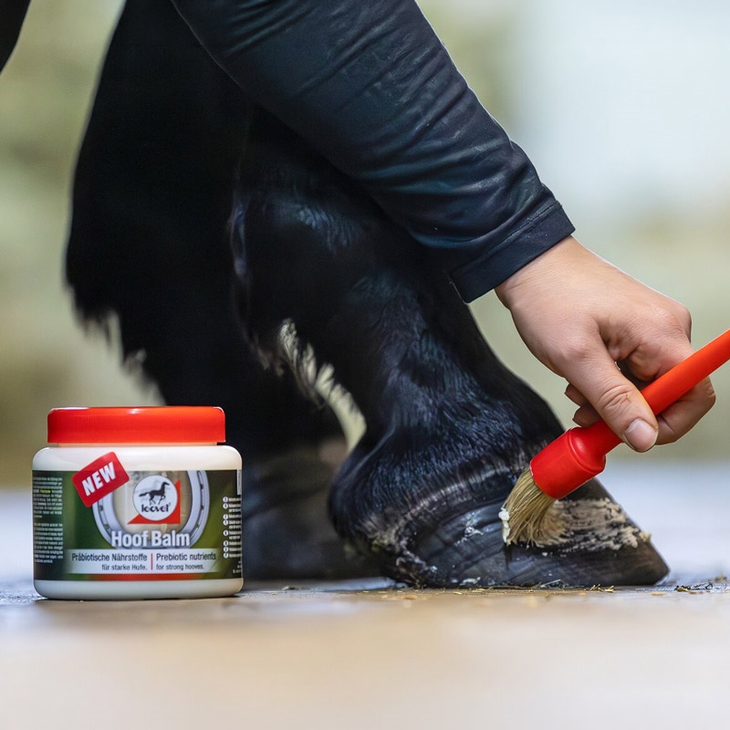 Leovet Hoof Balm Prebiotic - 450ml