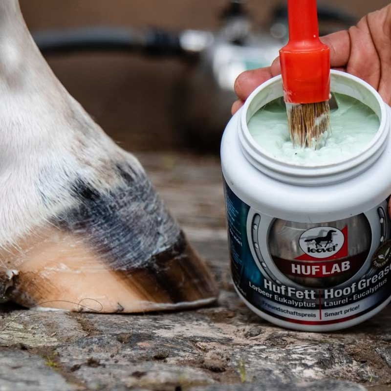 Leovet Hoof lab hoof grease i bøtte smøres på hest