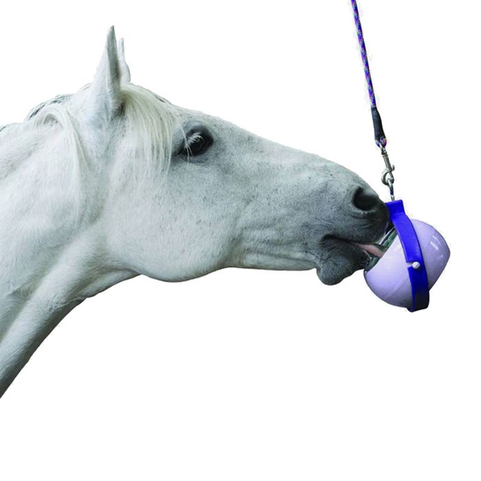 Se hest med Likit Boredom buster