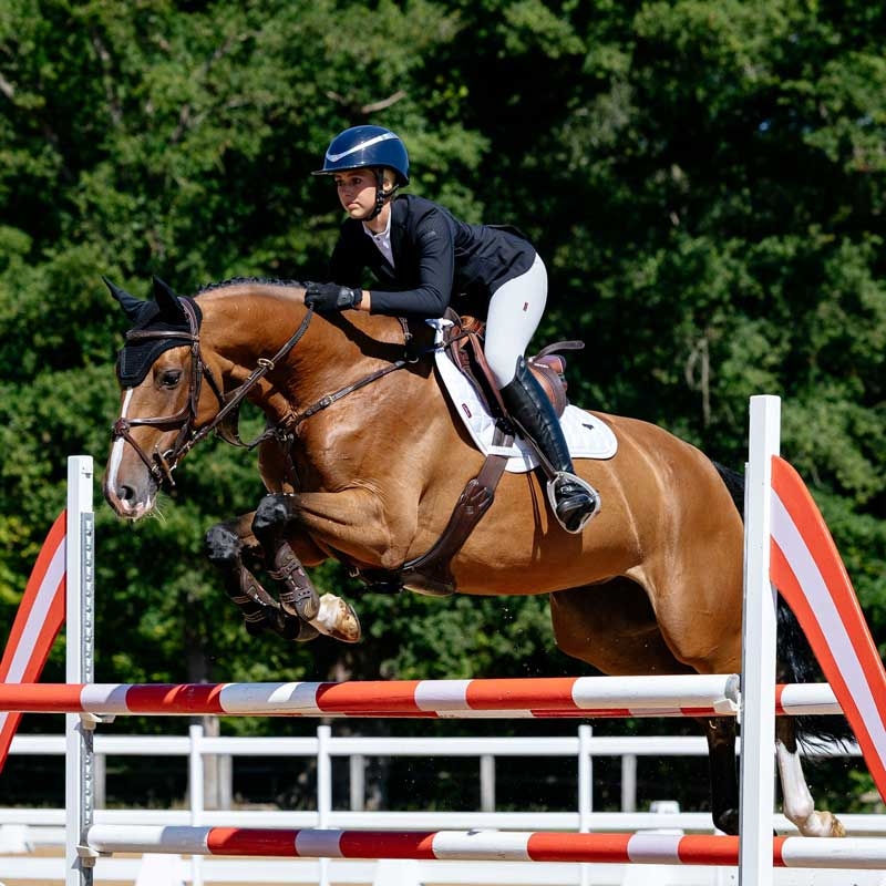 LeMieux Classic Loire Jumping underlag - hvid
