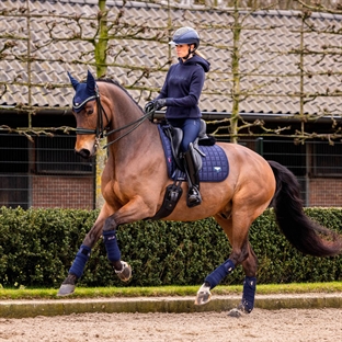 LeMieux Classic Loire Dressage underlag - navy