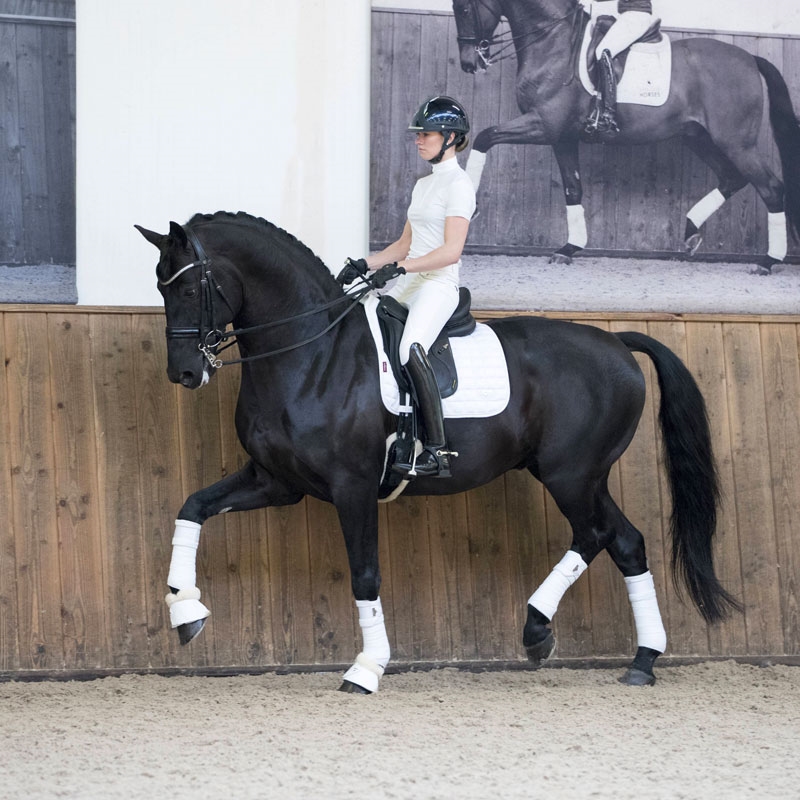 LeMieux Classic Loire Dressage underlag - hvid