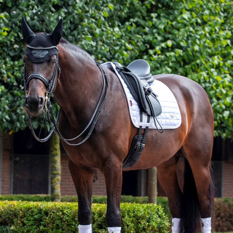 LeMieux Classic Loire Dressage underlag - hvid