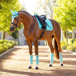 LeMieux Classic Loire Dressage underlag - azure