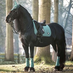 LeMieux Classic Loire Dressage underlag - sage