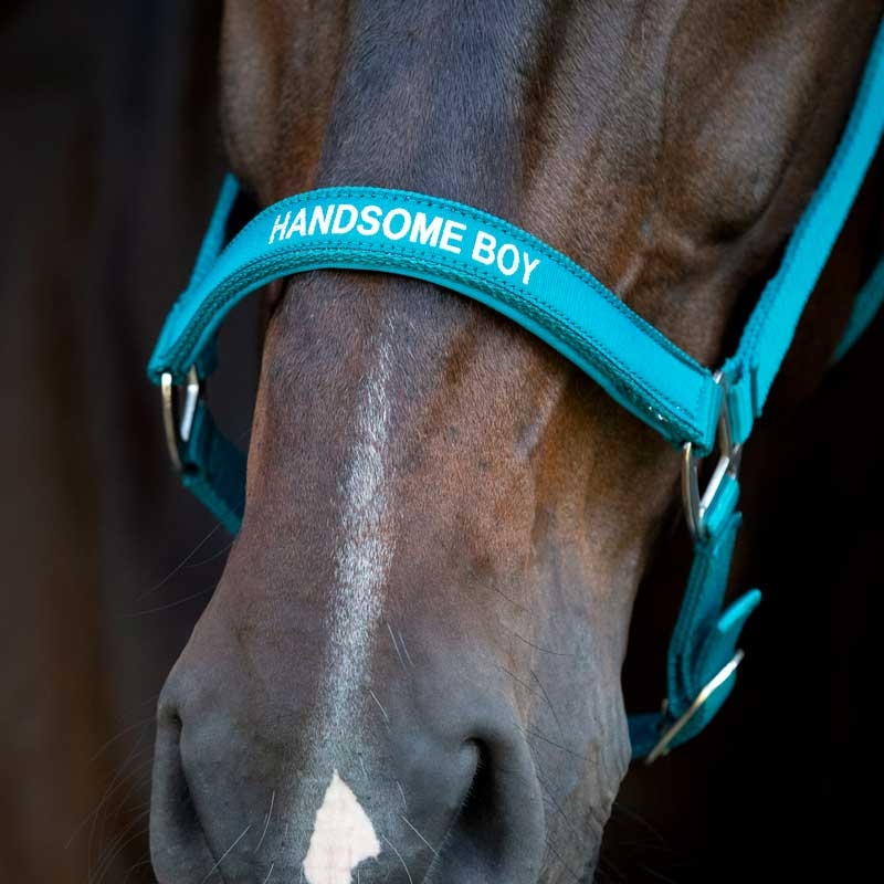 HorseGuard grime "Malva - HANDSOME BOY" - Arctic