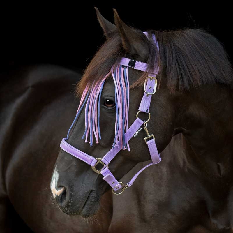 HorseGuard fluepandebånd "Malva" - Lavender