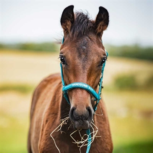 HorseGuard følgrime "Malva - HANDSOME BOY" - Arctic