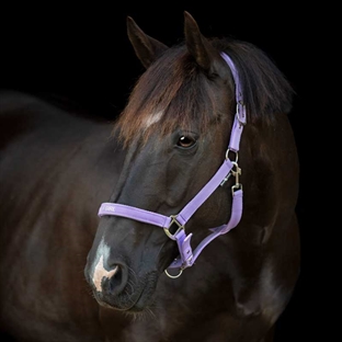 HorseGuard grime "Malva - PRETTY GIRL" - Lavender