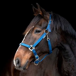 HorseGuard grime "Malva - MY BEST FRIEND" - Majolica Blue