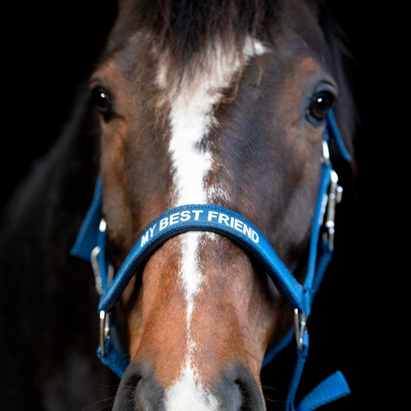 HorseGuard grime "Malva - MY BEST FRIEND" - Majolica Blue