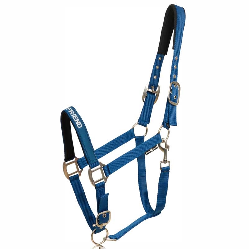 HorseGuard grime "Malva - MY BEST FRIEND" - Majolica Blue