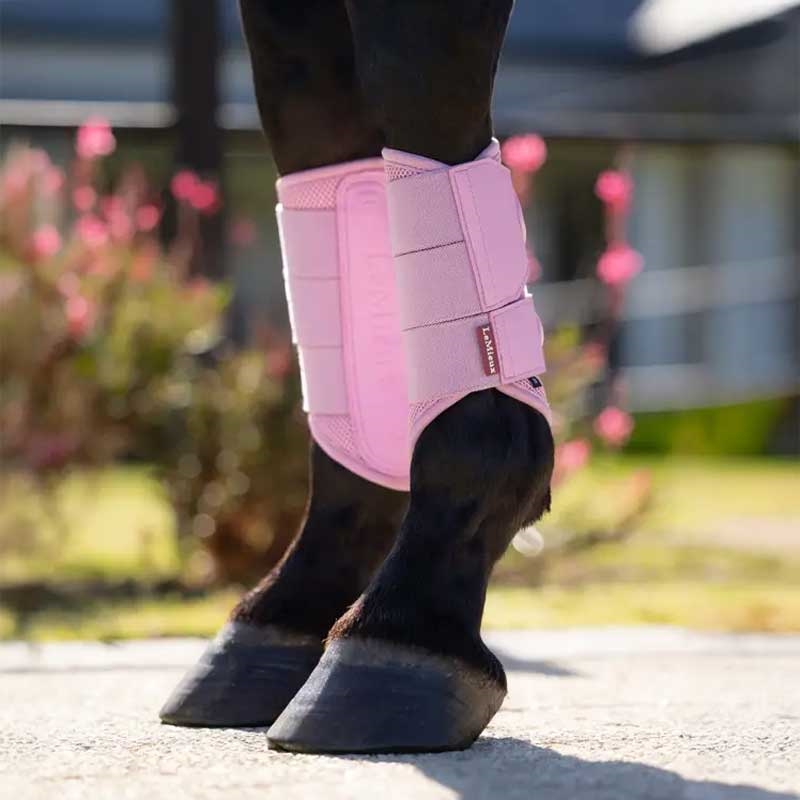 Lemieux gamacher "Arika Mesh Brushing" - Fondant