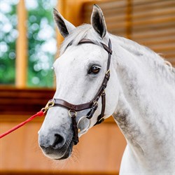 Rambo Micklem 2 MultiBridle - brun