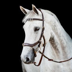 Rambo Micklem 2 MultiBridle - brun