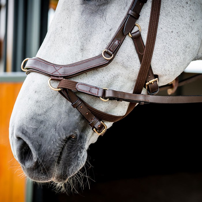 Rambo Micklem 2 MultiBridle - brun