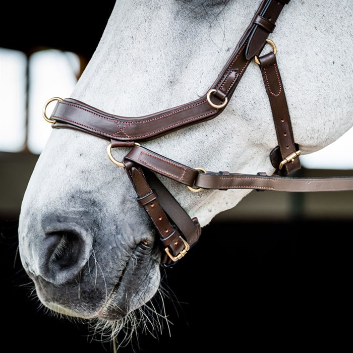 Rambo Micklem 2 MultiBridle - brun