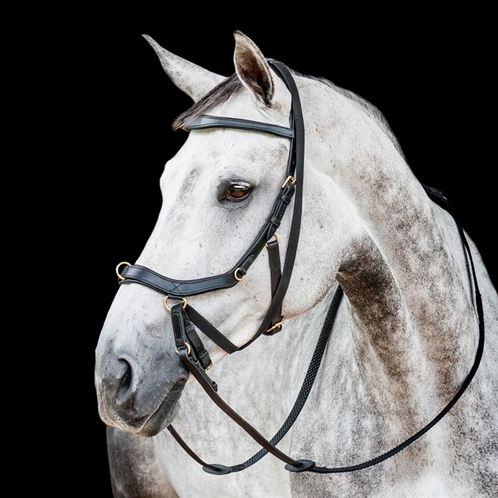 Rambo Micklem 2 MultiBridle - sort