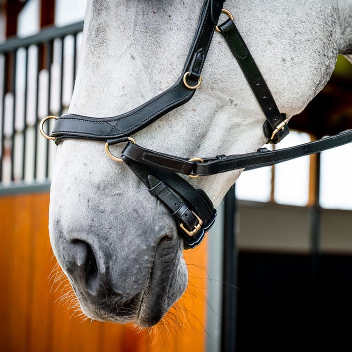 Rambo Micklem 2 MultiBridle - sort