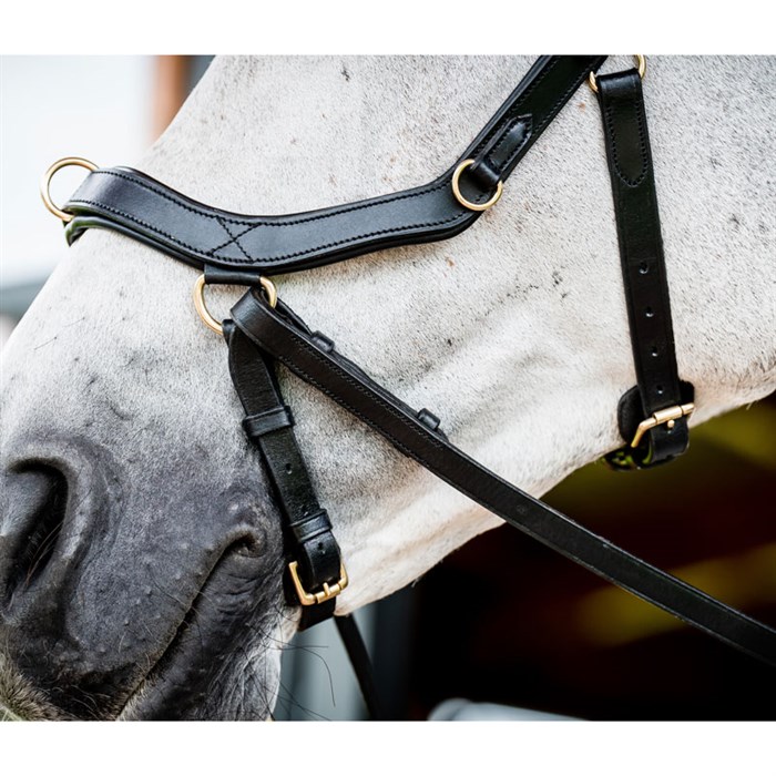 Rambo Micklem 2 MultiBridle - sort