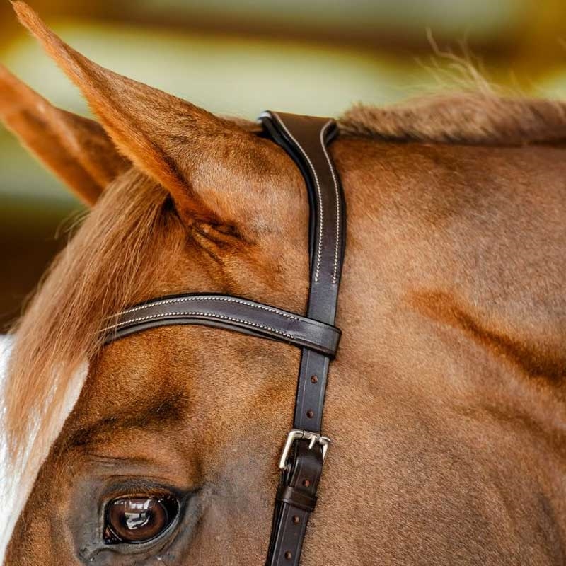 Rambo Micklem Competition Bridle - brun