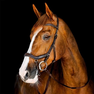 Rambo Micklem Competition Bridle - brun