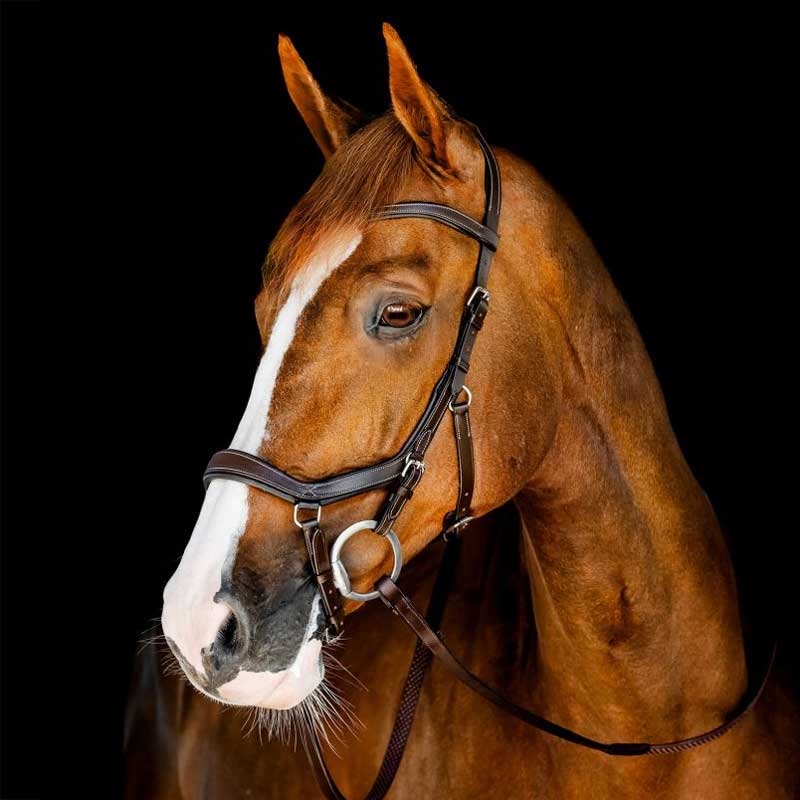 Rambo Micklem Competition Bridle - brun