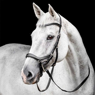 Rambo Micklem Competition Bridle - sort