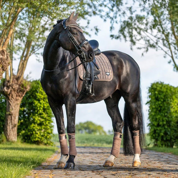 LeMieux Loire Polo fleecebandager - mink