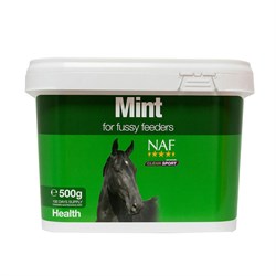 NAF Mint 500 g.