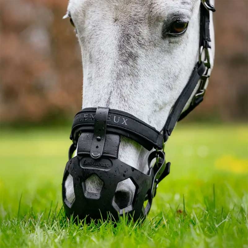 LeMieux mundkurv "Noma Grazing Muzzle" - sort