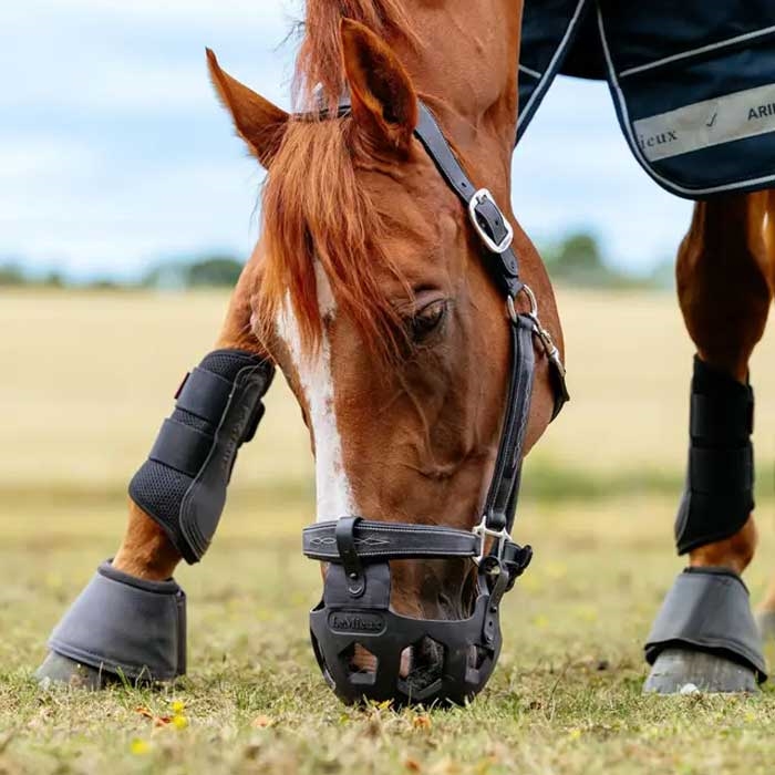 LeMieux mundkurv "Noma Grazing Muzzle" - sort