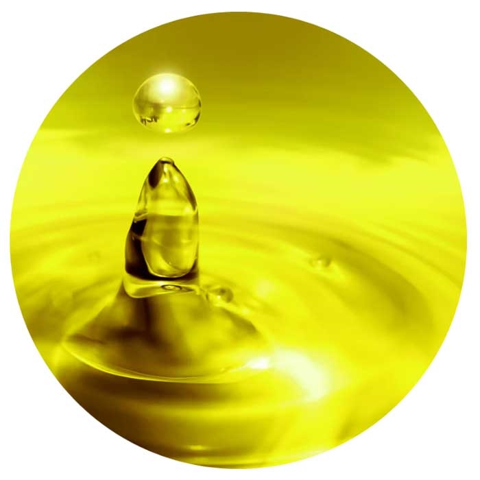 Nordic Horse DHA Algae Oil 1ltr.