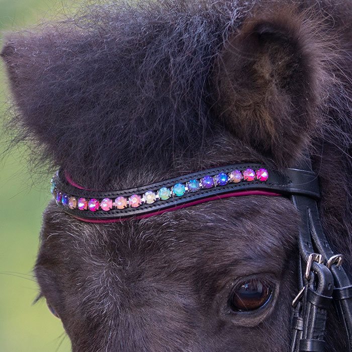 Waldhausen Pinky STAR trense med pink foring og regnbuefarvede krystaller i pandebåndet