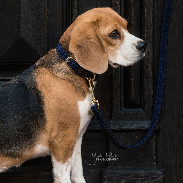 Kentucky hundehalsbånd "Plaited" - navy