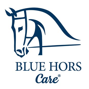 BLUE HORS