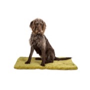 q-pet siccaro flexdog mat