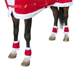 Jule lændedækken til heste