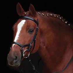 Rambo Micklem Competition Bridle - sort