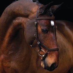 Rambo Micklem Competition Bridle - brun