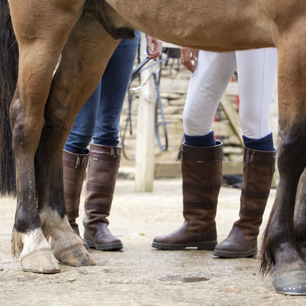 Dubarry Galway Walnut | vandtætte og åndbare HER ✓