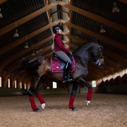 Equestrian Stockholm underlag "Bordeaux"