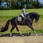 Equestrian Stockholm fleecebandager Champagne