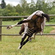 Horsevare Flybuster Vamoose insektdækken