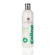 CarrDayMartin Gallop Medicated Shampoo - antibakteriel