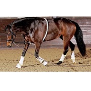 HorseGuard Soft longehjælp - natur