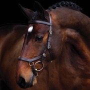 Rambo Micklem Multibridle - brun