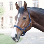 HorseGuard foldgrime - navy