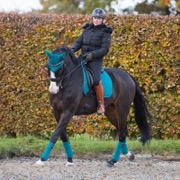 LeMieux Dressage Suede underlag - peacock green