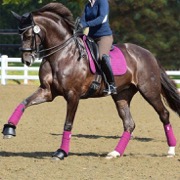 LeMieux Dressage Suede underlag - plum